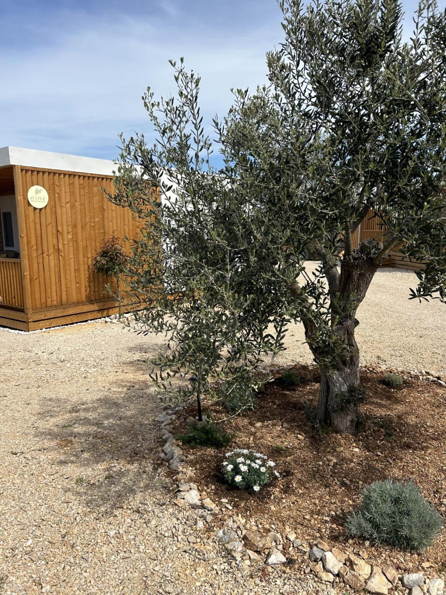 O'Live Premium Mobile Home Drage Εξωτερικό φωτογραφία