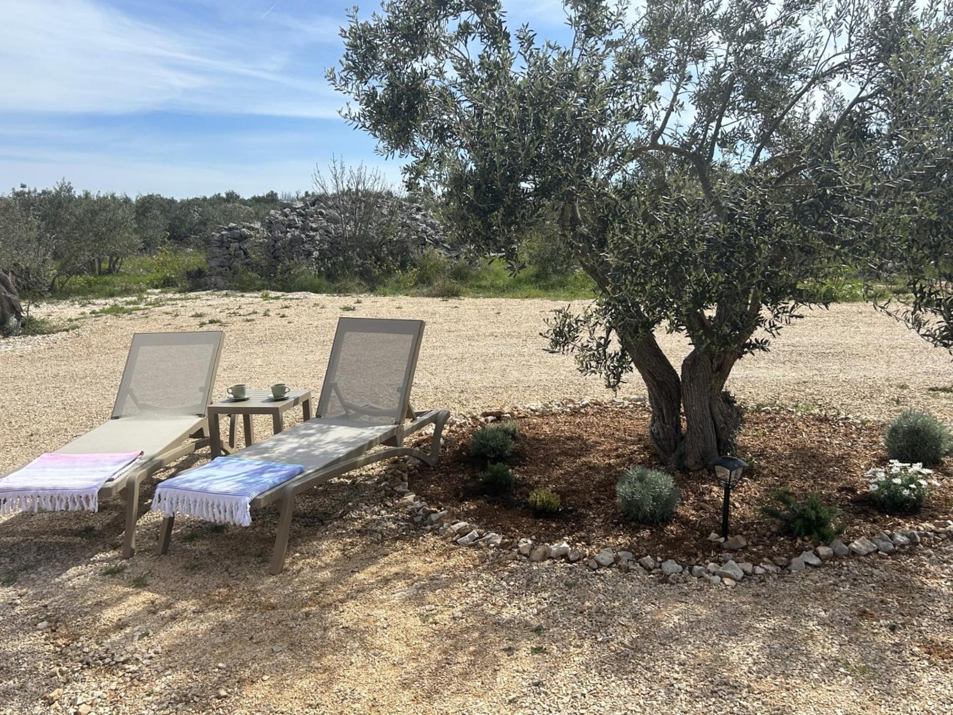 O'Live Premium Mobile Home Drage Εξωτερικό φωτογραφία